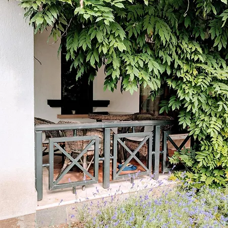 Oasis Resort&spa 1 Bed Ani 1st Floor Lozenets
